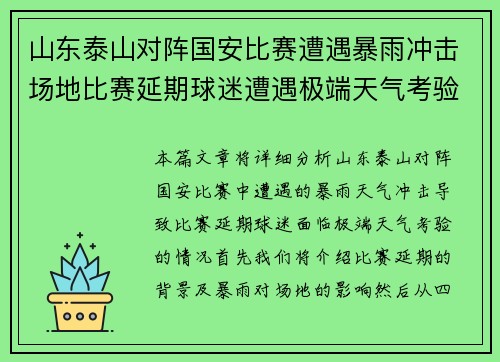 山东泰山对阵国安比赛遭遇暴雨冲击场地比赛延期球迷遭遇极端天气考验