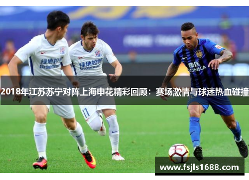 2018年江苏苏宁对阵上海申花精彩回顾：赛场激情与球迷热血碰撞