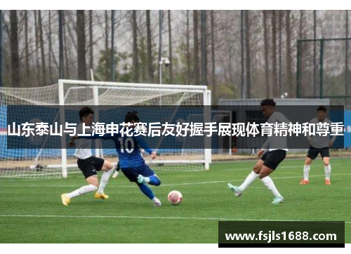 山东泰山与上海申花赛后友好握手展现体育精神和尊重