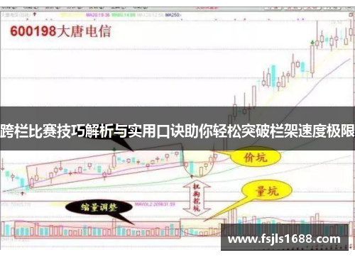 跨栏比赛技巧解析与实用口诀助你轻松突破栏架速度极限